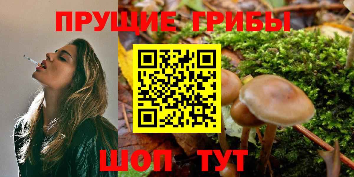 купить  цена  Вход с VPN  Галлюциногенные грибы Magic Shrooms  Алапаевск  Галлюциногенные грибы ЛСД 